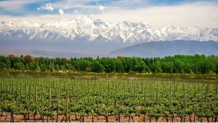 Día 04 – Buenos Aires / Mendoza