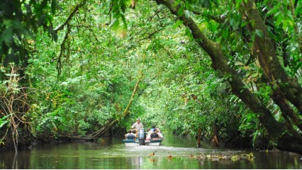TORTUGUERO – ARENAL