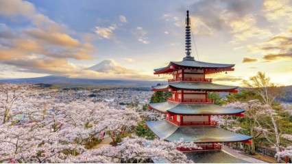 Viaje Japón: Tokio, Hakone, Kyoto, Nara, Kanazawa, Shirakawago, Takayama, Gero, Osaka.