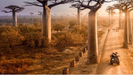 Madagascar: Norte Colorido